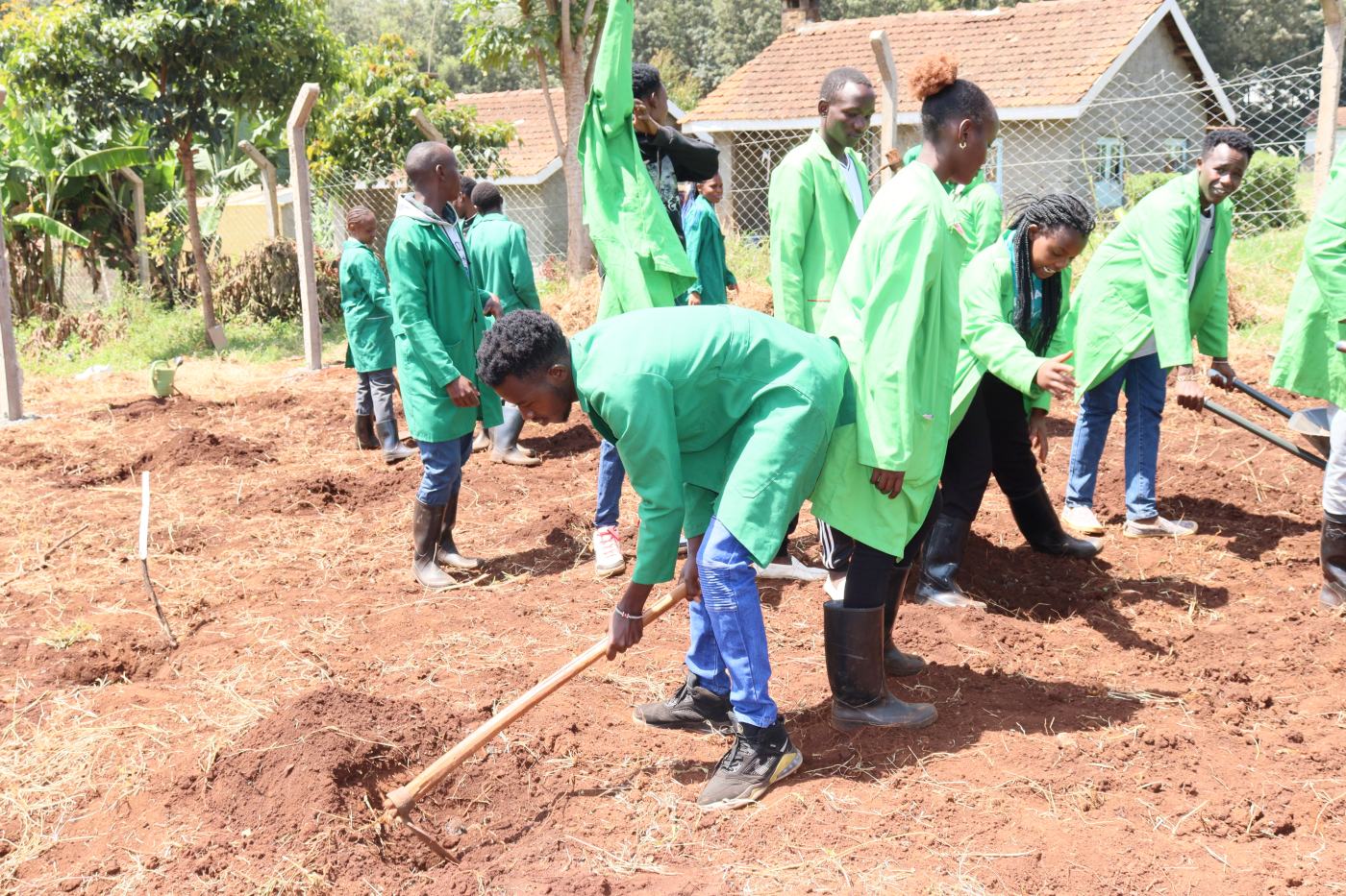Kabete National Polytechnic